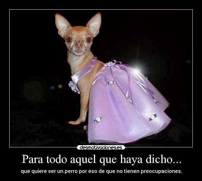 Para todo aquel que haya dicho... -