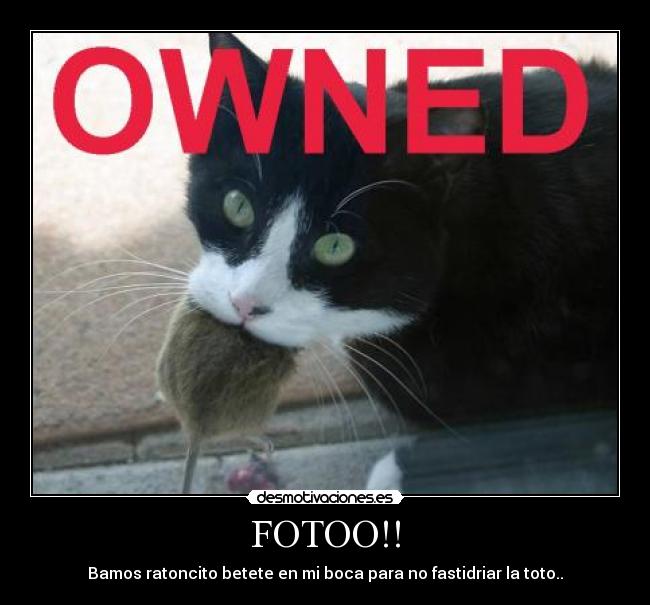 FOTOO!! - Bamos ratoncito betete en mi boca para no fastidriar la toto..