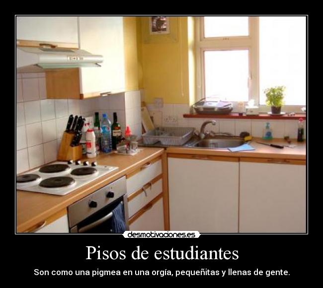 Pisos de estudiantes -