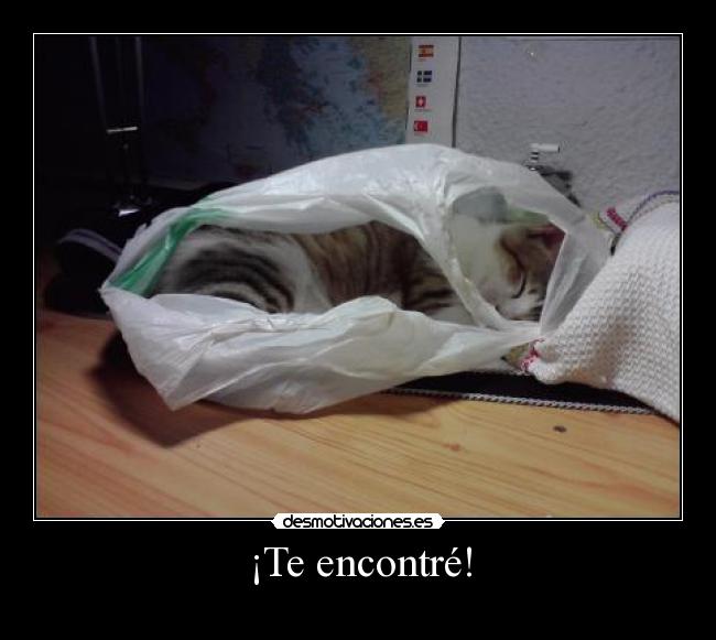 ¡Te encontré! - 