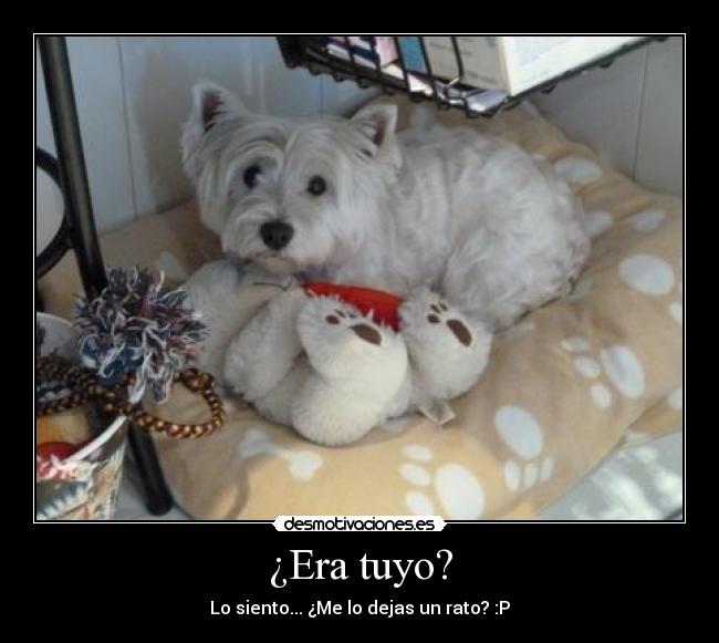 ¿Era tuyo? - Lo siento... ¿Me lo dejas un rato? :P