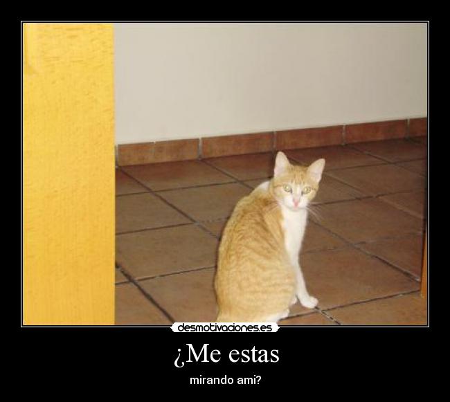 ¿Me estas - mirando ami?