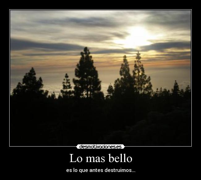 Lo mas bello - 
