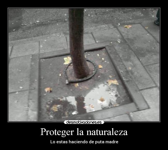 Proteger la naturaleza -