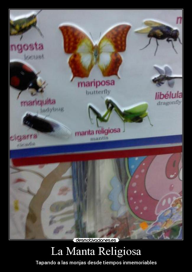 carteles manta mantis religiosa tapando monjas tiempos inmemoriables desmotivaciones