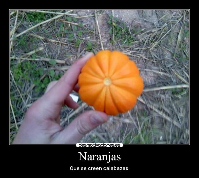 Naranjas -