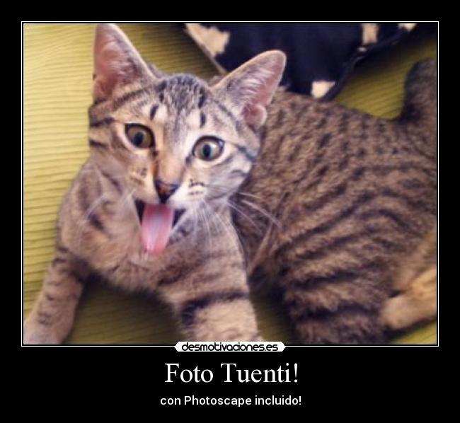 Foto Tuenti! -