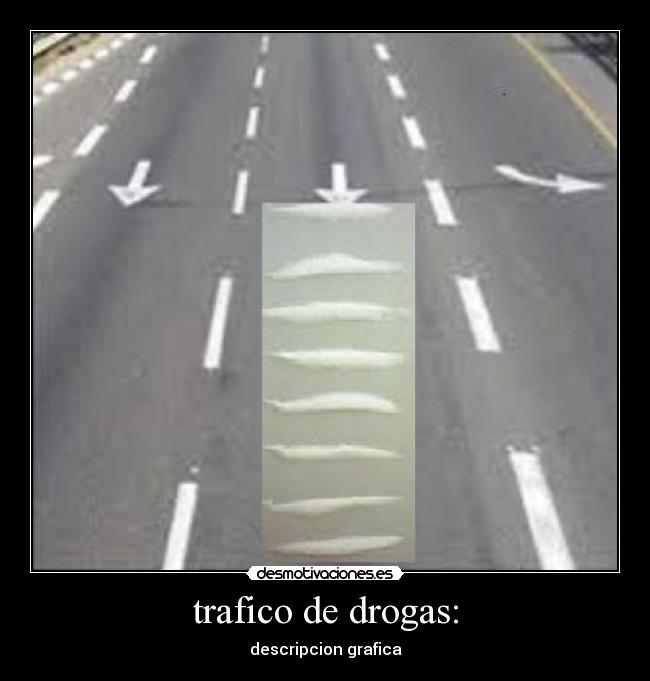 trafico de drogas: - descripcion grafica