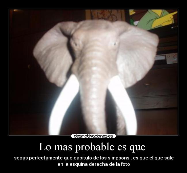 Lo mas probable es que -
