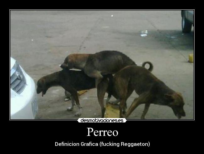 Perreo - Definicion Grafica (fucking Reggaeton)