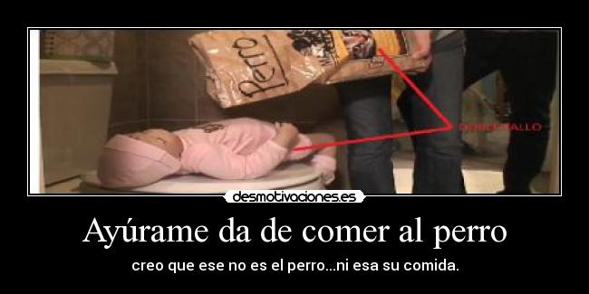 Ayúrame da de comer al perro - 
