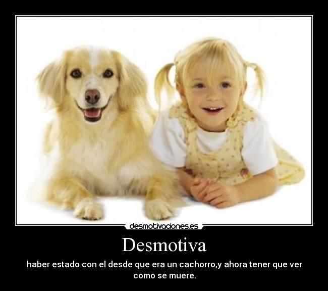 Desmotiva - haber estado con el desde que era un cachorro,y ahora tener que ver como se muere.