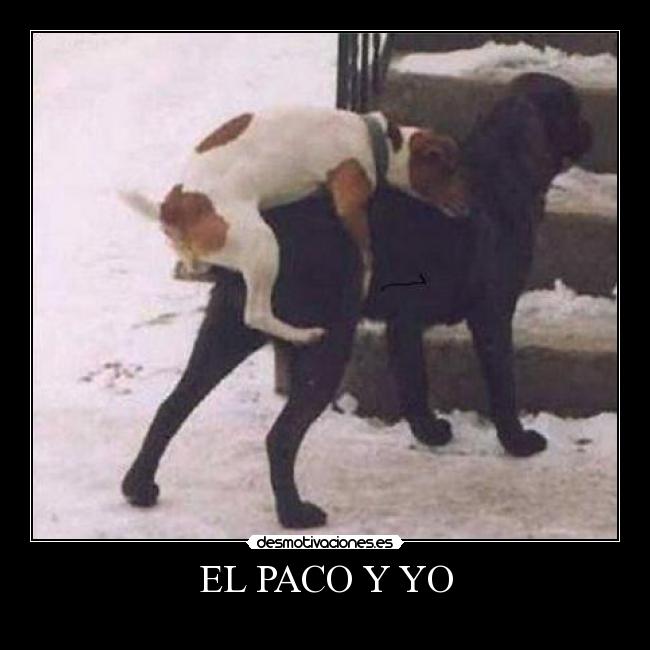 EL PACO Y YO -