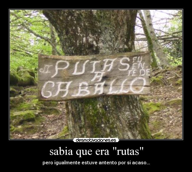 carteles lobolimas putas caballo desmotivaciones