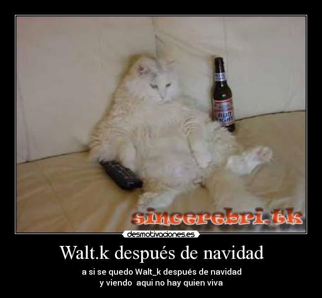 Walt.k después de navidad - a si se quedo Walt_k después de navidad
y viendo aqui no hay quien viva