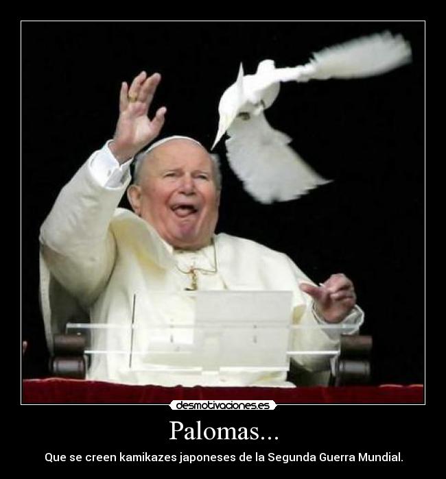 Palomas... - Que se creen kamikazes japoneses de la Segunda Guerra Mundial.