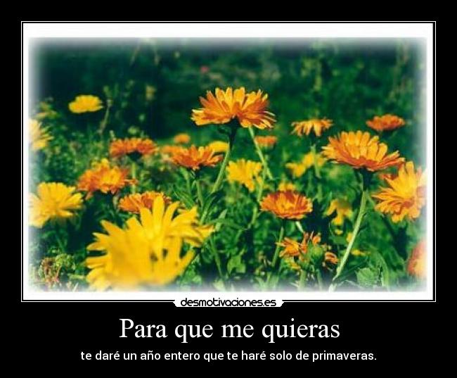 Para que me quieras - te daré un año entero que te haré solo de primaveras.