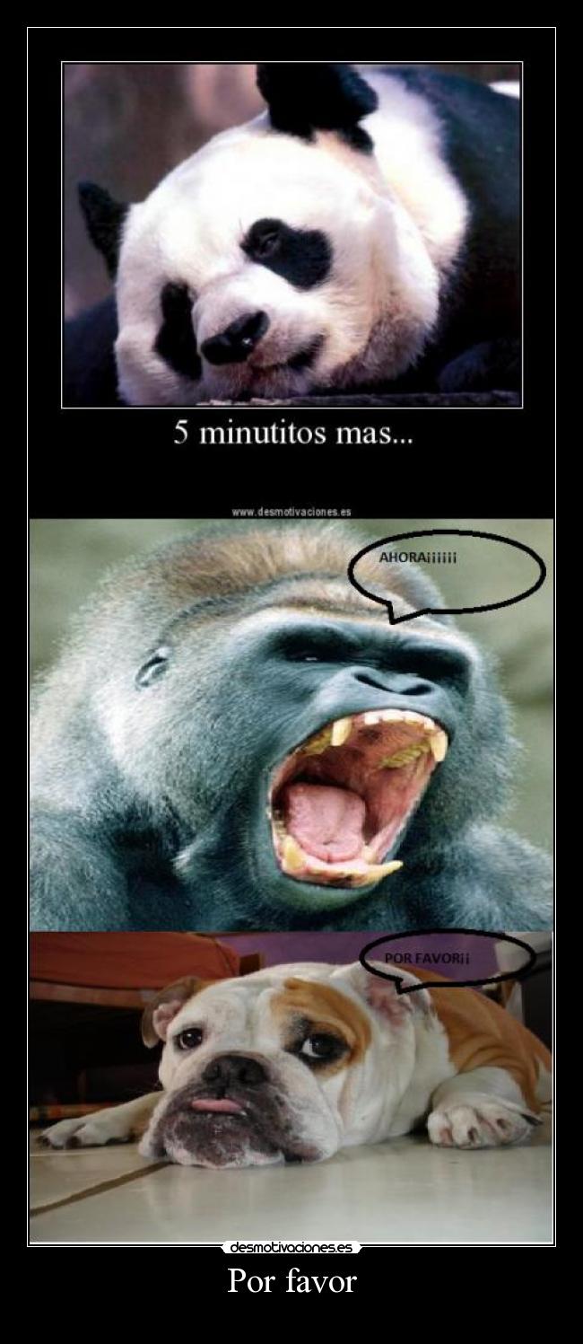 carteles porfa desmotivaciones