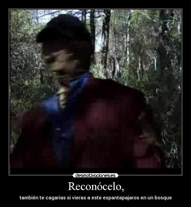 Reconócelo, - también te cagarias si vieras a este espantapajaros en un bosque