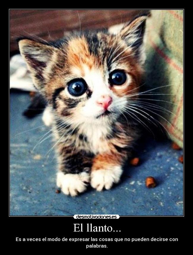 El llanto... -