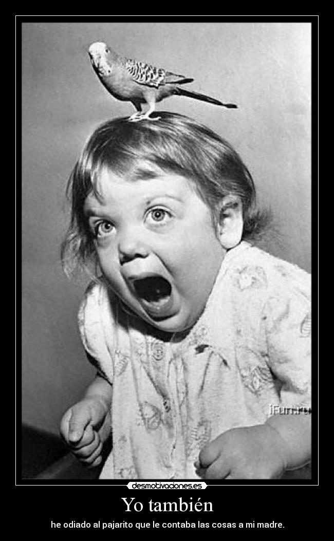 Yo también - he odiado al pajarito que le contaba las cosas a mi madre.