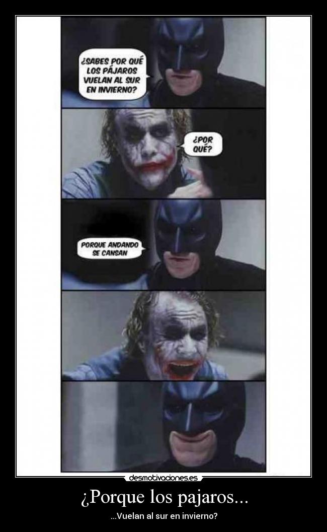 ¿Porque los pajaros... - 