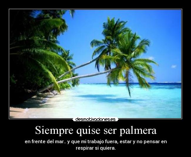 Siempre quise ser palmera - 