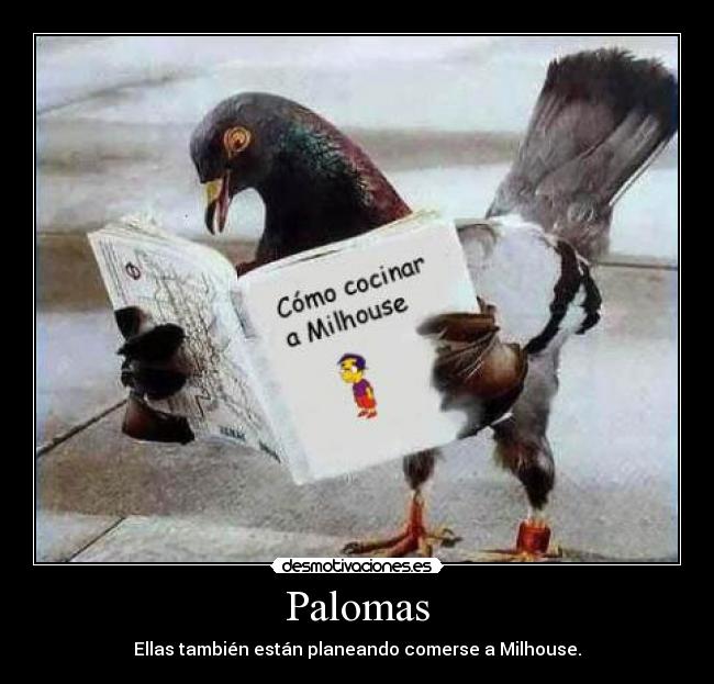 Palomas - Ellas también están planeando comerse a Milhouse.