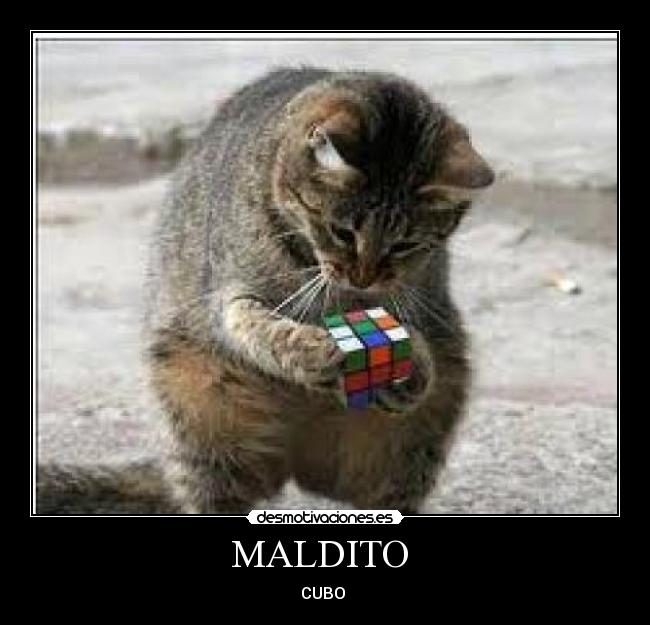 MALDITO - CUBO