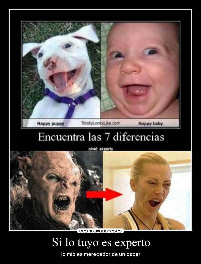 Si lo tuyo es experto - 