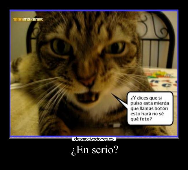 ¿En serio? - 
