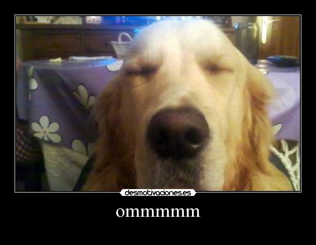 ommmmm - 