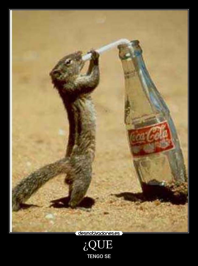 ¿QUE - TENGO SE