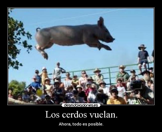 Los cerdos vuelan. - Ahora, todo es posible.
