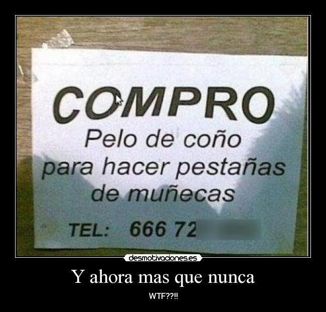 Y ahora mas que nunca -