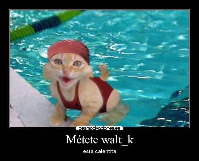 Métete walt_k -