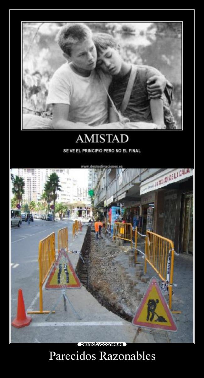 Parecidos Razonables -