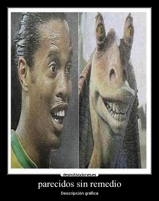 parecidos sin remedio - Descripción gráfica