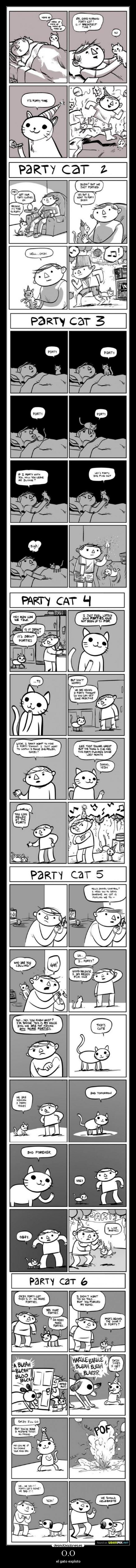O.O - el gato exploto