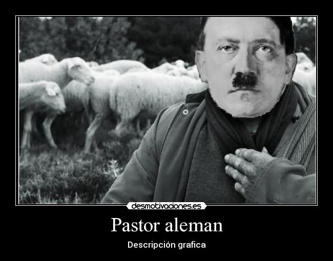 Pastor aleman - 