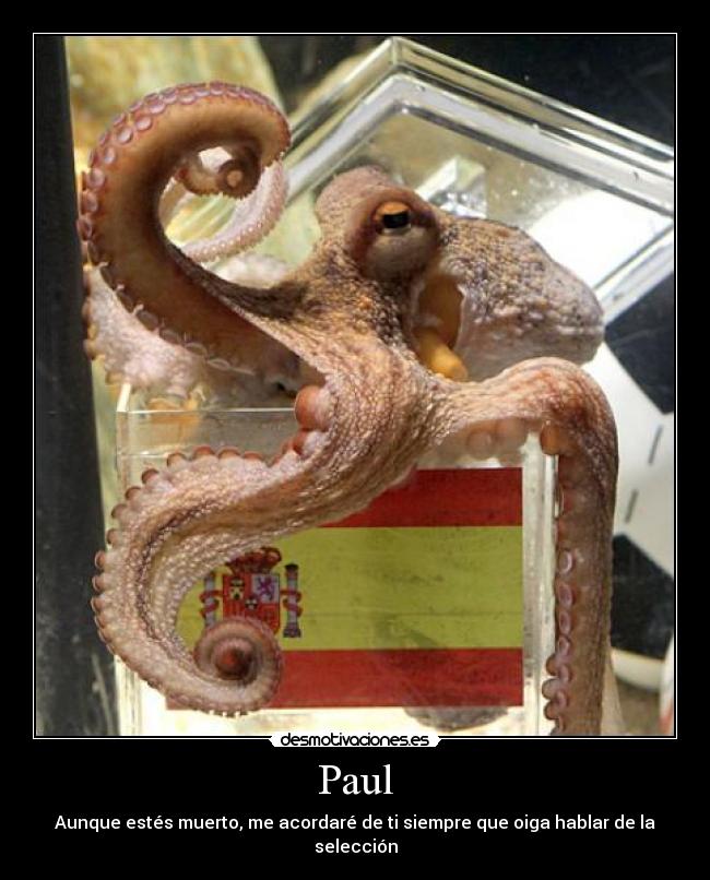 Paul - 