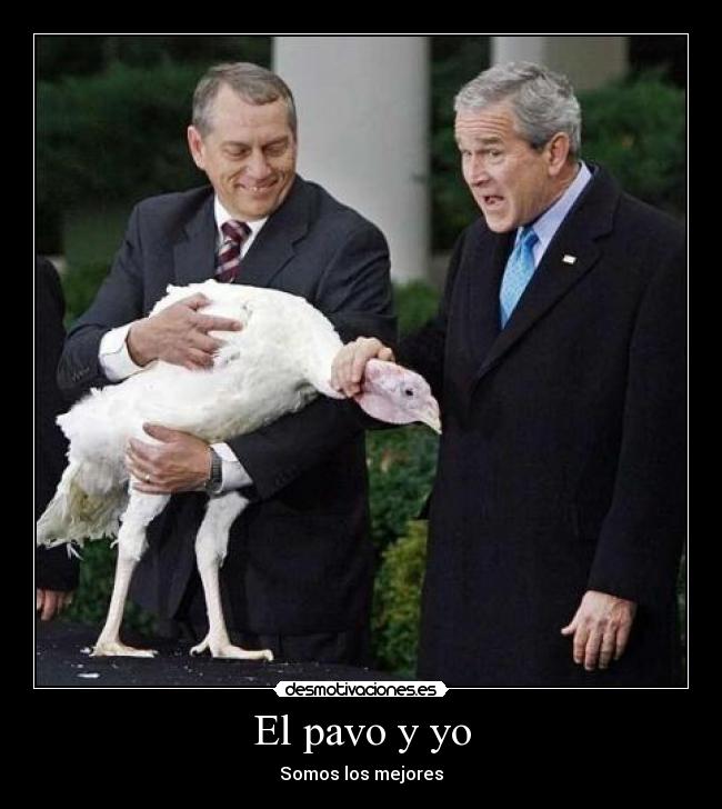 El pavo y yo -