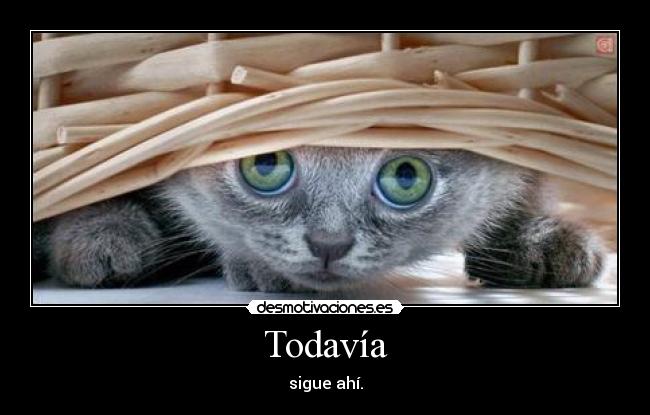 Todavía -