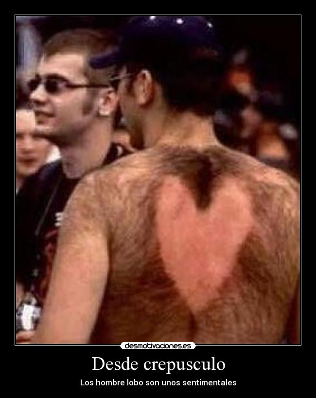 Desde crepusculo - Los hombre lobo son unos sentimentales