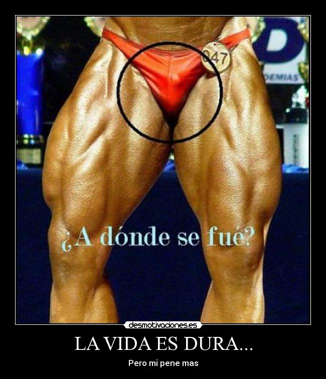 LA VIDA ES DURA... - Pero mi pene mas