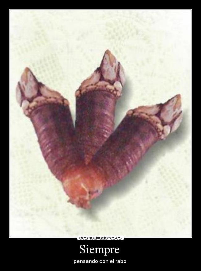 carteles nadie desmotivaciones