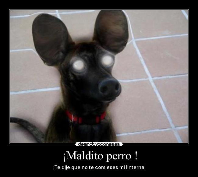 ¡Maldito perro ! - 