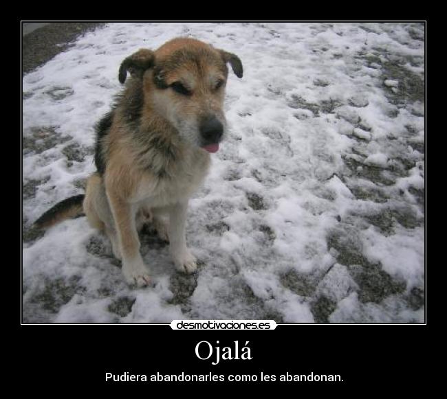 Ojalá - Pudiera abandonarles como les abandonan.