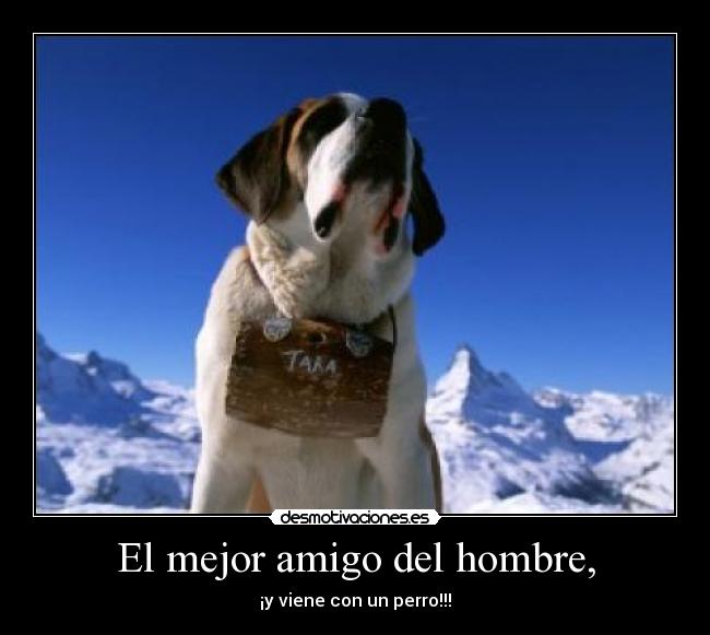 El mejor amigo del hombre, -