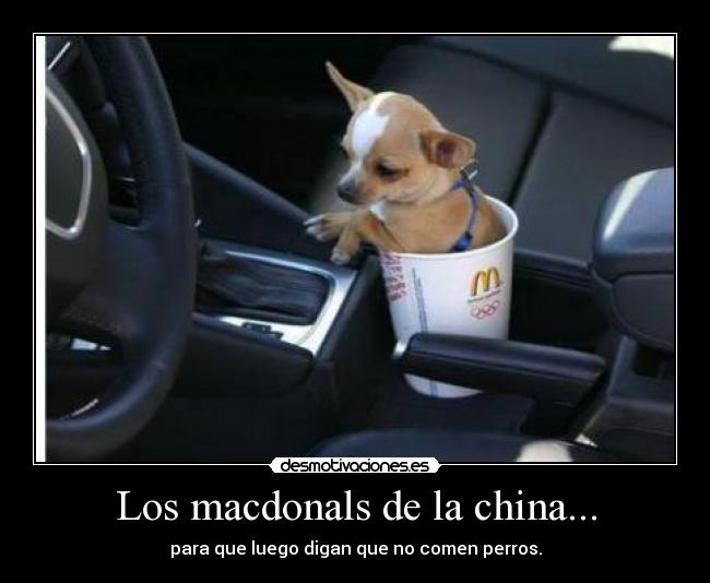 Los macdonals de la china... - para que luego digan que no comen perros.